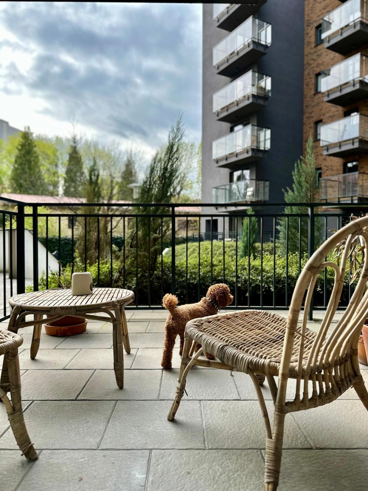 Pure Apartment N°1 Wrocław Eksteriør bilde